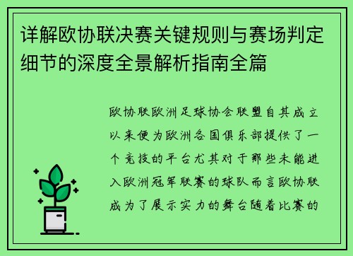 详解欧协联决赛关键规则与赛场判定细节的深度全景解析指南全篇